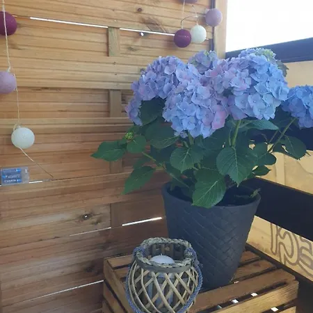 Farm stay Familiowka Mizerna