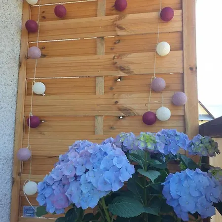 Farm stay Familiowka Mizerna